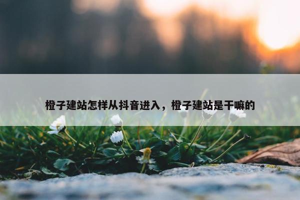 橙子建站怎样从抖音进入，橙子建站是干嘛的-第1张图片-冷动云