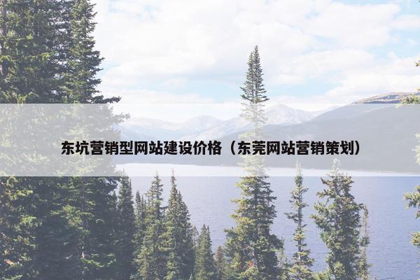 东坑营销型网站建设价格（东莞网站营销策划）-第1张图片-冷动云