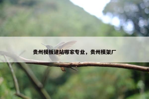 贵州模板建站哪家专业，贵州模架厂-第1张图片-冷动云