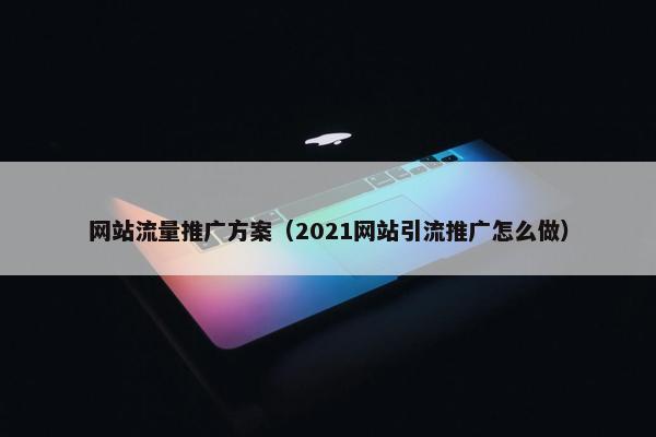 网站流量推广方案（2021网站引流推广怎么做）-第1张图片-冷动云