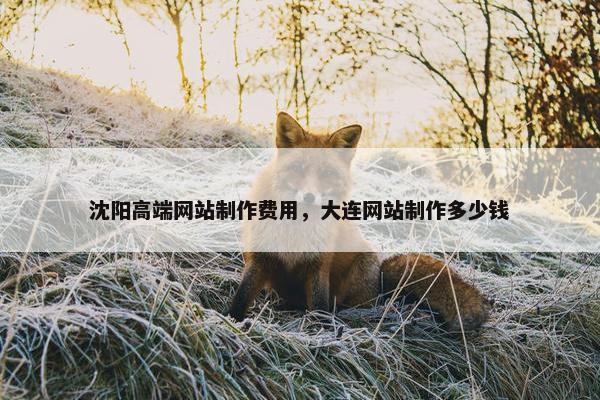 沈阳高端网站制作费用，大连网站制作多少钱-第1张图片-冷动云