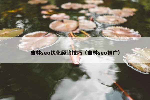 吉林seo优化经验技巧（吉林seo推广）-第1张图片-冷动云