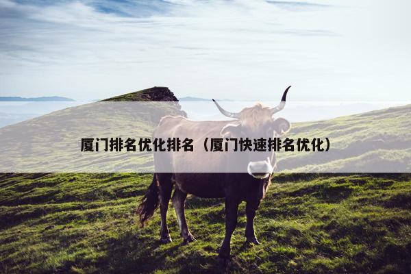 厦门排名优化排名（厦门快速排名优化）-第1张图片-冷动云