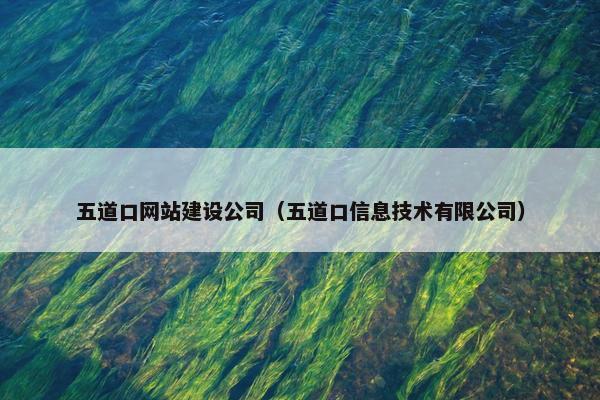 五道口网站建设公司（五道口信息技术有限公司）-第1张图片-冷动云