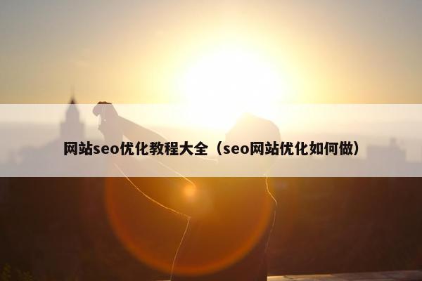 网站seo优化教程大全（seo网站优化如何做）-第1张图片-冷动云