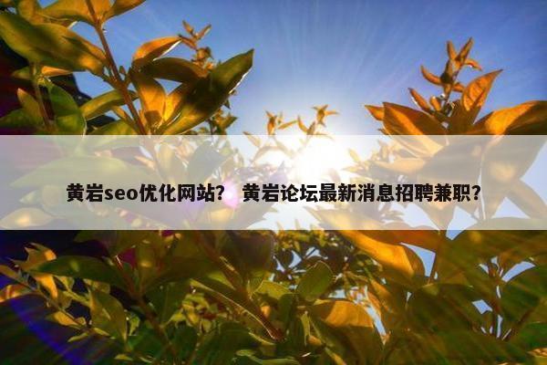 黄岩seo优化网站？ 黄岩论坛最新消息招聘兼职？-第1张图片-冷动云