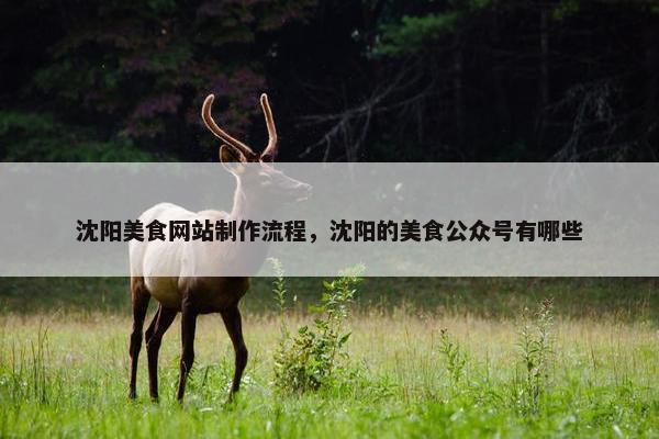 沈阳美食网站制作流程，沈阳的美食公众号有哪些-第1张图片-冷动云