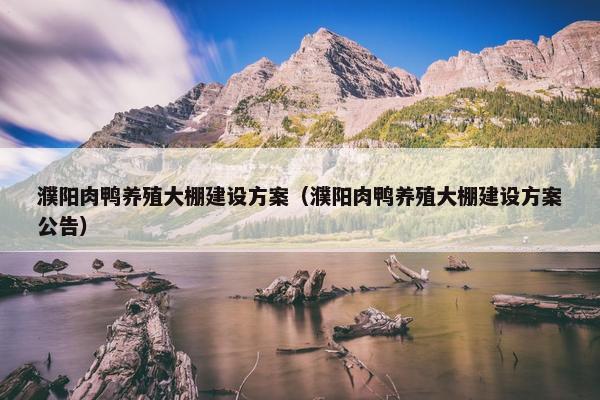 濮阳肉鸭养殖大棚建设方案（濮阳肉鸭养殖大棚建设方案公告）-第1张图片-冷动云