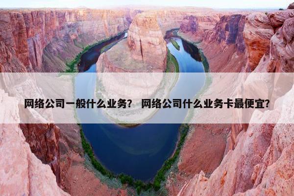 网络公司一般什么业务？ 网络公司什么业务卡最便宜？-第1张图片-冷动云