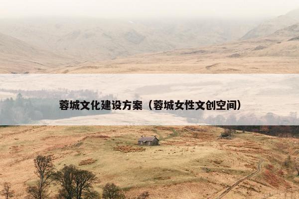 蓉城文化建设方案（蓉城女性文创空间）-第1张图片-冷动云