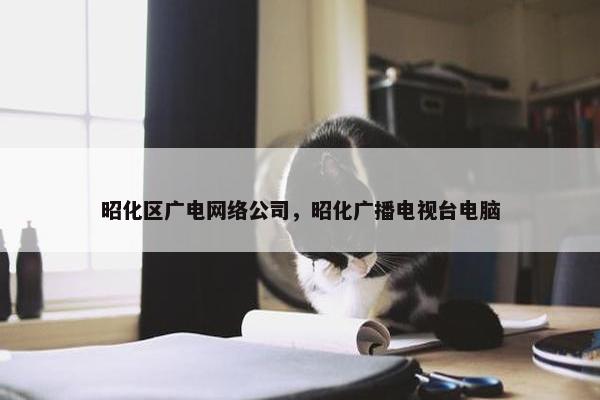 昭化区广电网络公司，昭化广播电视台电脑-第1张图片-冷动云