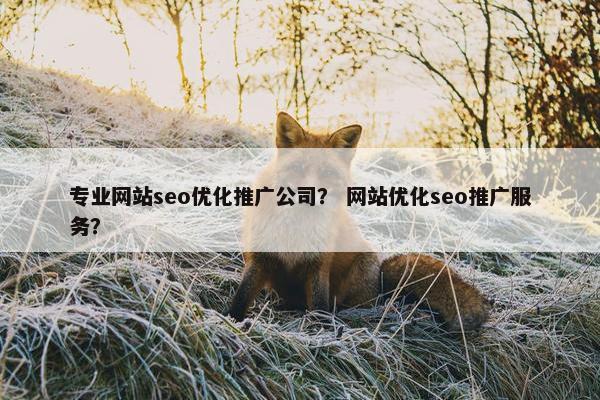 专业网站seo优化推广公司？ 网站优化seo推广服务？-第1张图片-冷动云