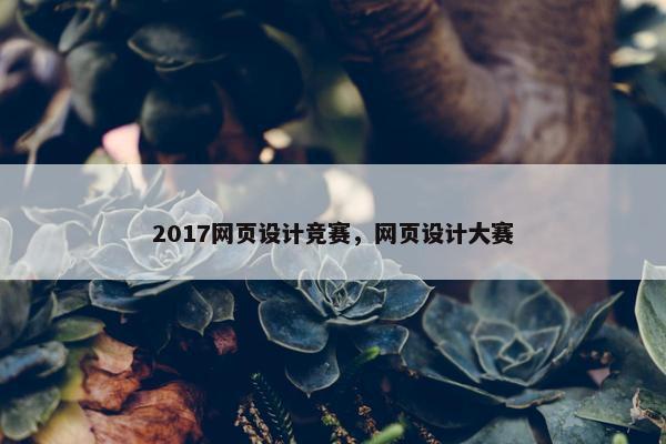 2017网页设计竞赛，网页设计大赛-第1张图片-冷动云