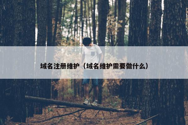 域名注册维护（域名维护需要做什么）-第1张图片-冷动云