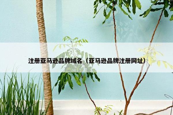 注册亚马逊品牌域名（亚马逊品牌注册网址）-第1张图片-冷动云