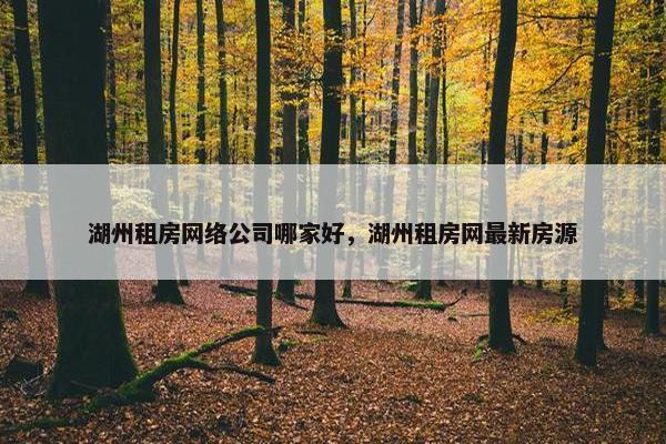 湖州租房网络公司哪家好，湖州租房网最新房源-第1张图片-冷动云