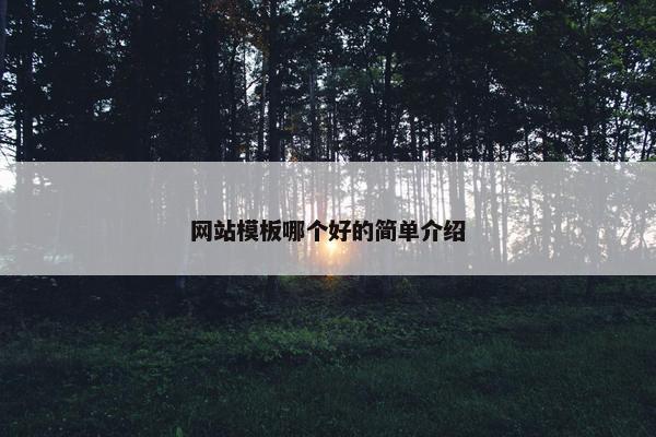 网站模板哪个好的简单介绍-第1张图片-冷动云