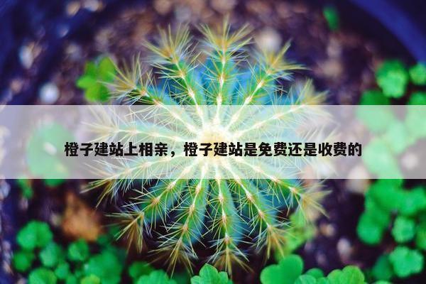 橙子建站上相亲，橙子建站是免费还是收费的-第1张图片-冷动云