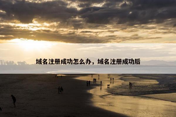 域名注册成功怎么办，域名注册成功后-第1张图片-冷动云