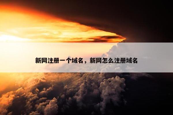 新网注册一个域名，新网怎么注册域名-第1张图片-冷动云