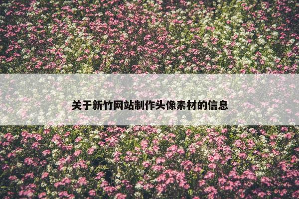 关于新竹网站制作头像素材的信息-第1张图片-冷动云