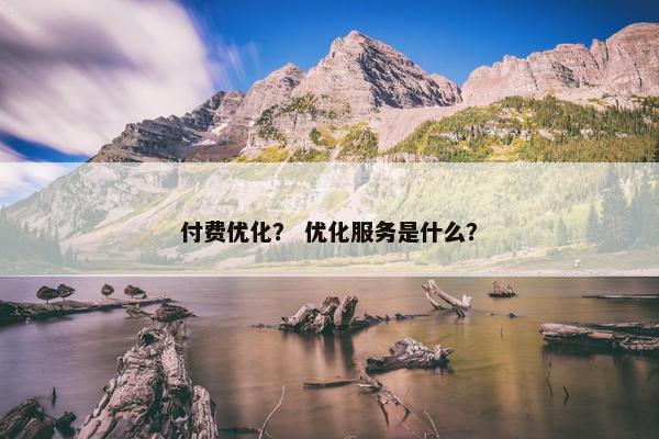 付费优化？ 优化服务是什么？-第1张图片-冷动云