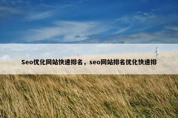 Seo优化网站快速排名，seo网站排名优化快速排-第1张图片-冷动云