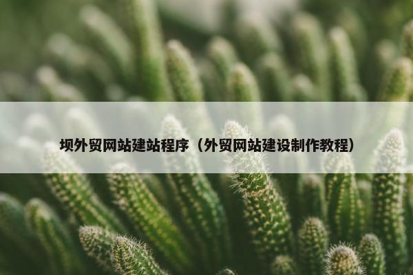 坝外贸网站建站程序（外贸网站建设制作教程）-第1张图片-冷动云