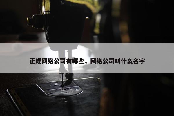正规网络公司有哪些，网络公司叫什么名字-第1张图片-冷动云