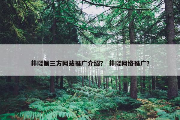井陉第三方网站推广介绍？ 井陉网络推广？-第1张图片-冷动云