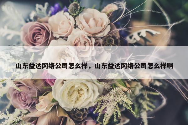 山东益达网络公司怎么样，山东益达网络公司怎么样啊-第1张图片-冷动云