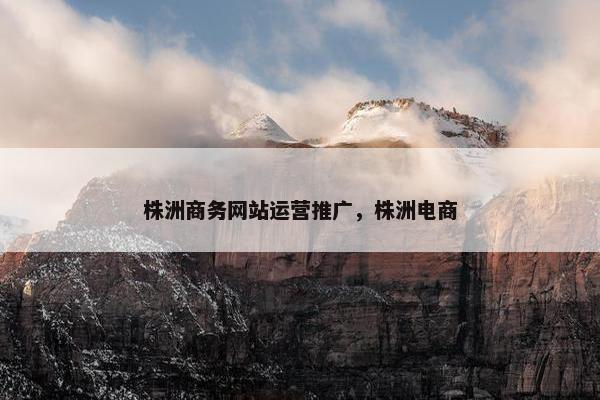 株洲商务网站运营推广，株洲电商-第1张图片-冷动云