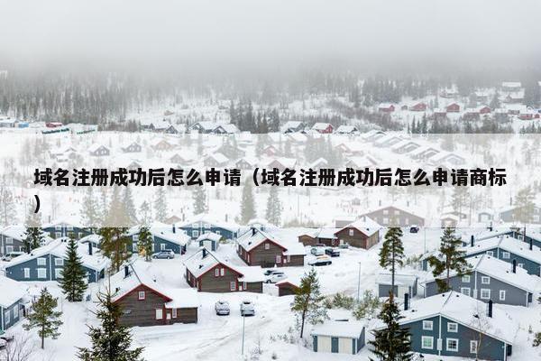 域名注册成功后怎么申请（域名注册成功后怎么申请商标）-第1张图片-冷动云