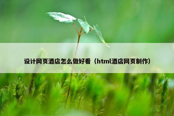 设计网页酒店怎么做好看（html酒店网页制作）-第1张图片-冷动云