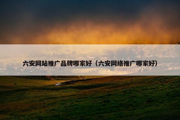 六安网站推广品牌哪家好（六安网络推广哪家好）-第1张图片-冷动云