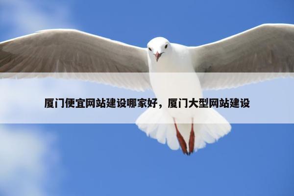 厦门便宜网站建设哪家好，厦门大型网站建设-第1张图片-冷动云