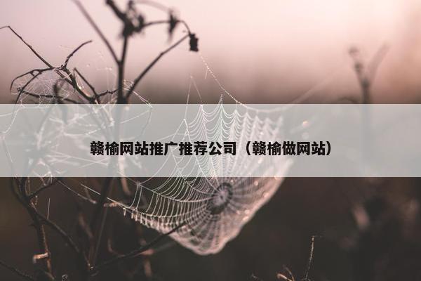 赣榆网站推广推荐公司（赣榆做网站）-第1张图片-冷动云