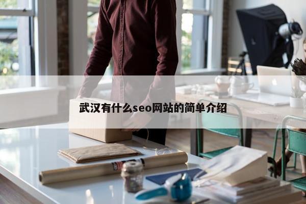 武汉有什么seo网站的简单介绍-第1张图片-冷动云