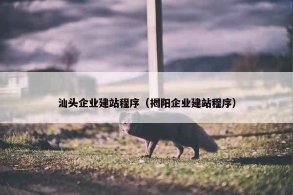 汕头企业建站程序（揭阳企业建站程序）-第1张图片-冷动云