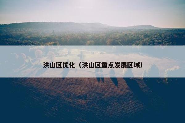 洪山区优化（洪山区重点发展区域）-第1张图片-冷动云