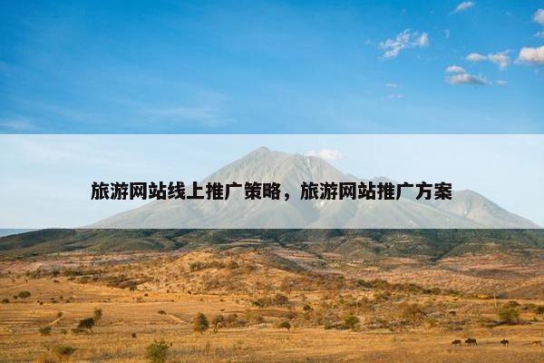 旅游网站线上推广策略，旅游网站推广方案-第1张图片-冷动云