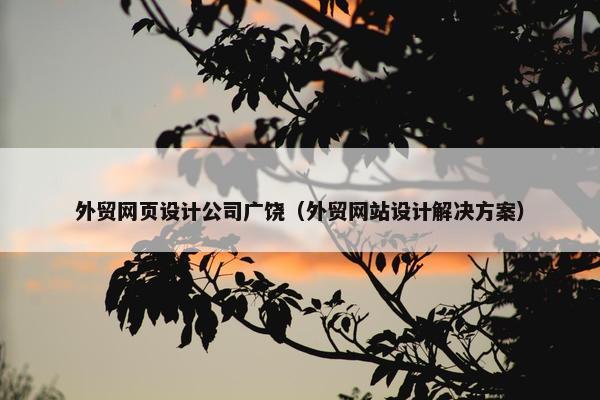 外贸网页设计公司广饶（外贸网站设计解决方案）-第1张图片-冷动云