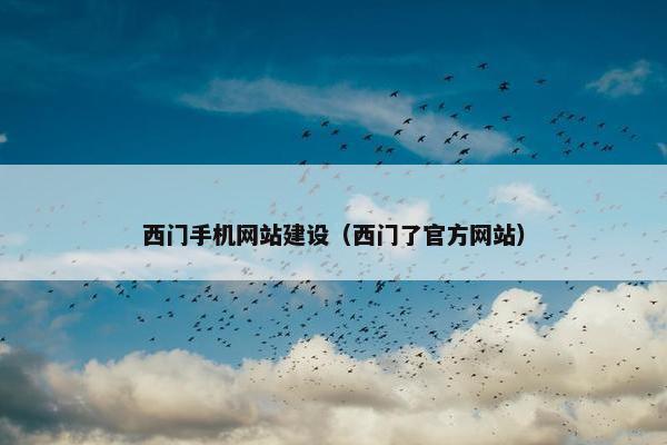 西门手机网站建设（西门了官方网站）-第1张图片-冷动云