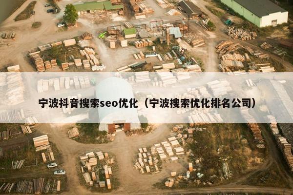 宁波抖音搜索seo优化（宁波搜索优化排名公司）-第1张图片-冷动云