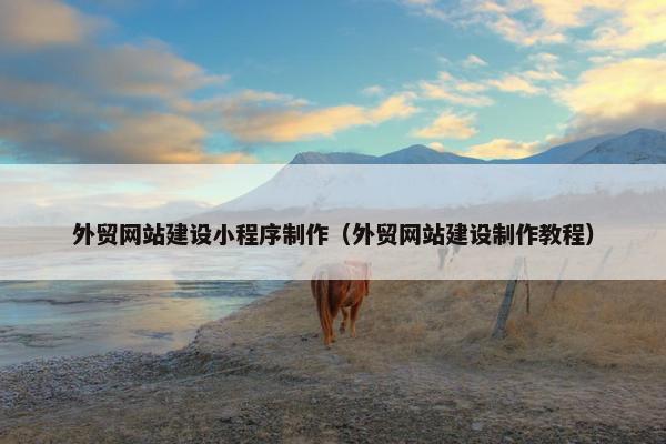 外贸网站建设小程序制作（外贸网站建设制作教程）-第1张图片-冷动云