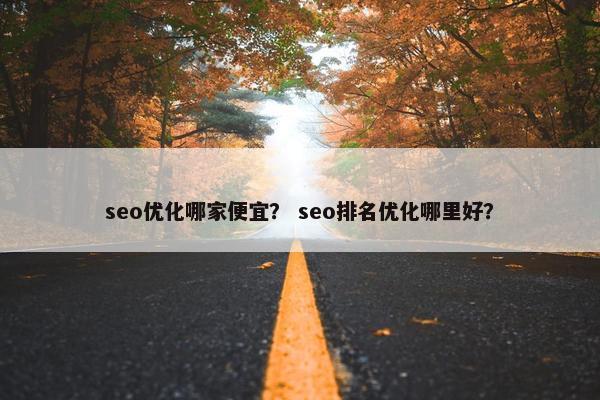 seo优化哪家便宜？ seo排名优化哪里好？-第1张图片-冷动云