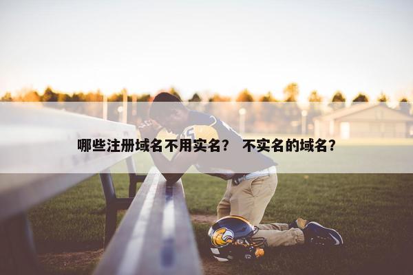 哪些注册域名不用实名？ 不实名的域名？-第1张图片-冷动云