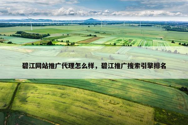 碧江网站推广代理怎么样，碧江推广搜索引擎排名-第1张图片-冷动云