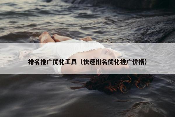 排名推广优化工具（快速排名优化推广价格）-第1张图片-冷动云