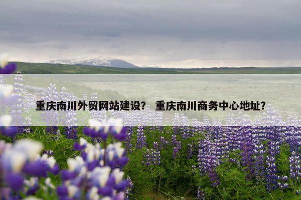 重庆南川外贸网站建设？ 重庆南川商务中心地址？-第1张图片-冷动云